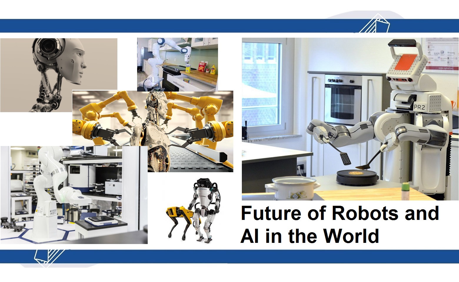 Future of Robots in the world