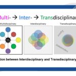 Transdisciplinary Concepts