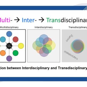 Transdisciplinary Concepts