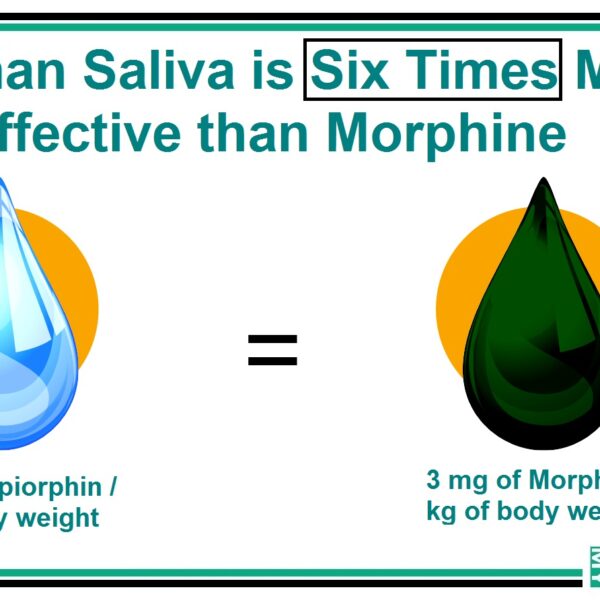 Human saliva and morphine